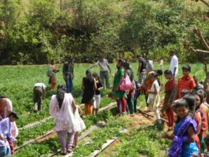 agro tourism