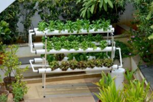 hydroponic gardening 